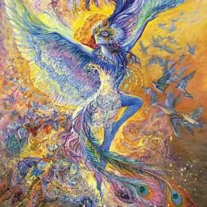 Meet your Posher, Robin